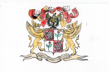 sketch of heraldic crest - disegno stemma araldico